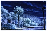 /album/fotogaleria-fotografia-infraroig/img-8483-640x480-jpg/